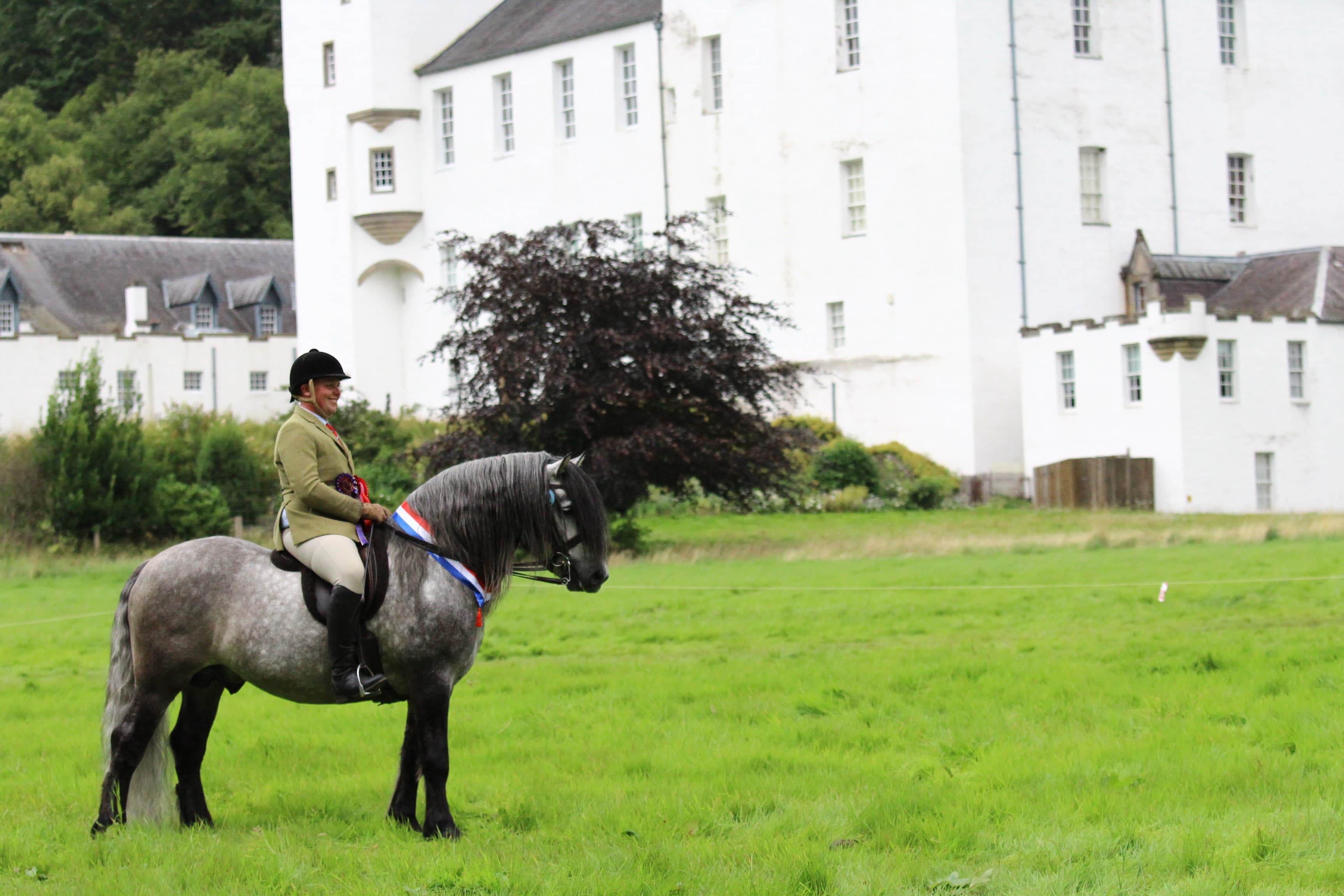 A ridden Highland pony champion in front of Blair Castle