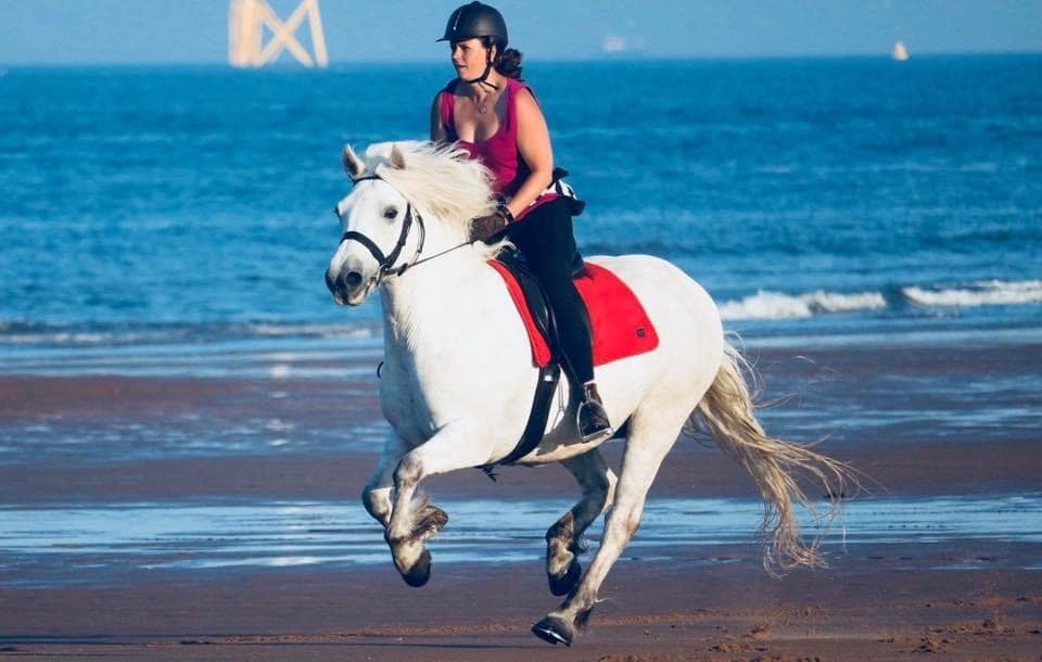 A grey Highland pony cantering along the beach with its rider
