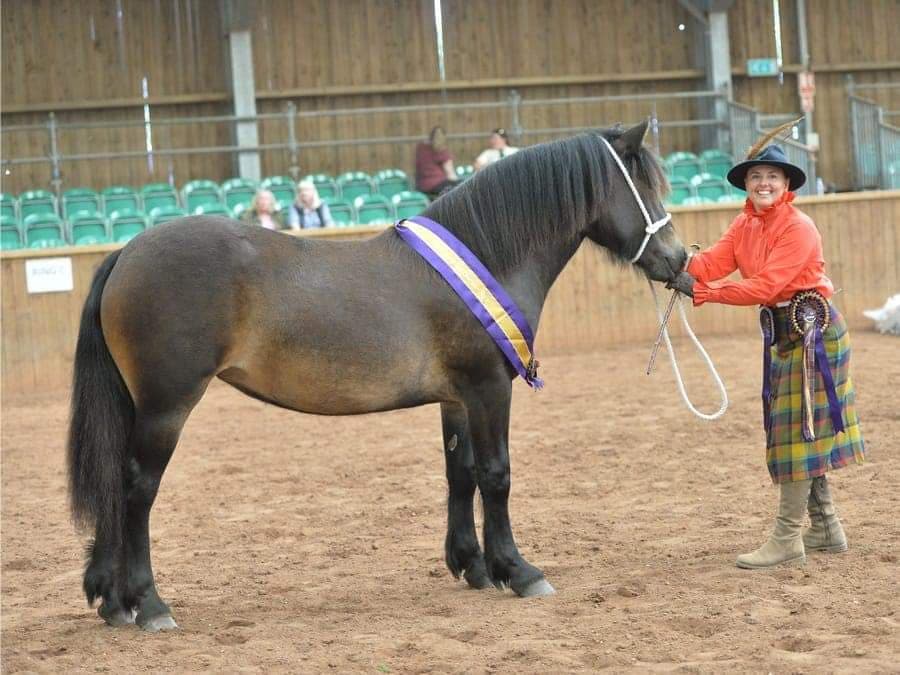 A handler in Highland dress with a black pony and rosette